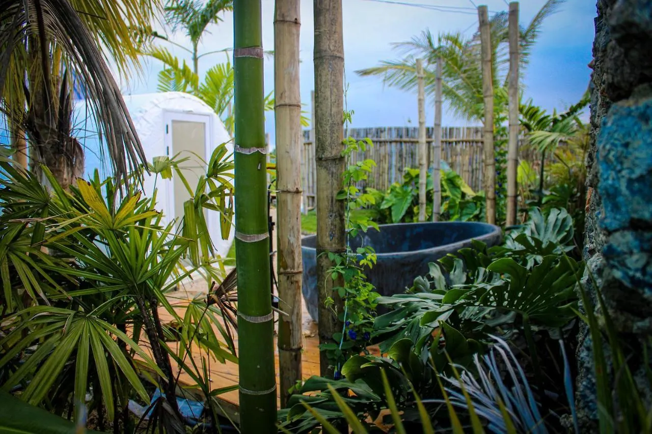 Green Land Bubble Glamping By Mint Cabarete Luxury tent