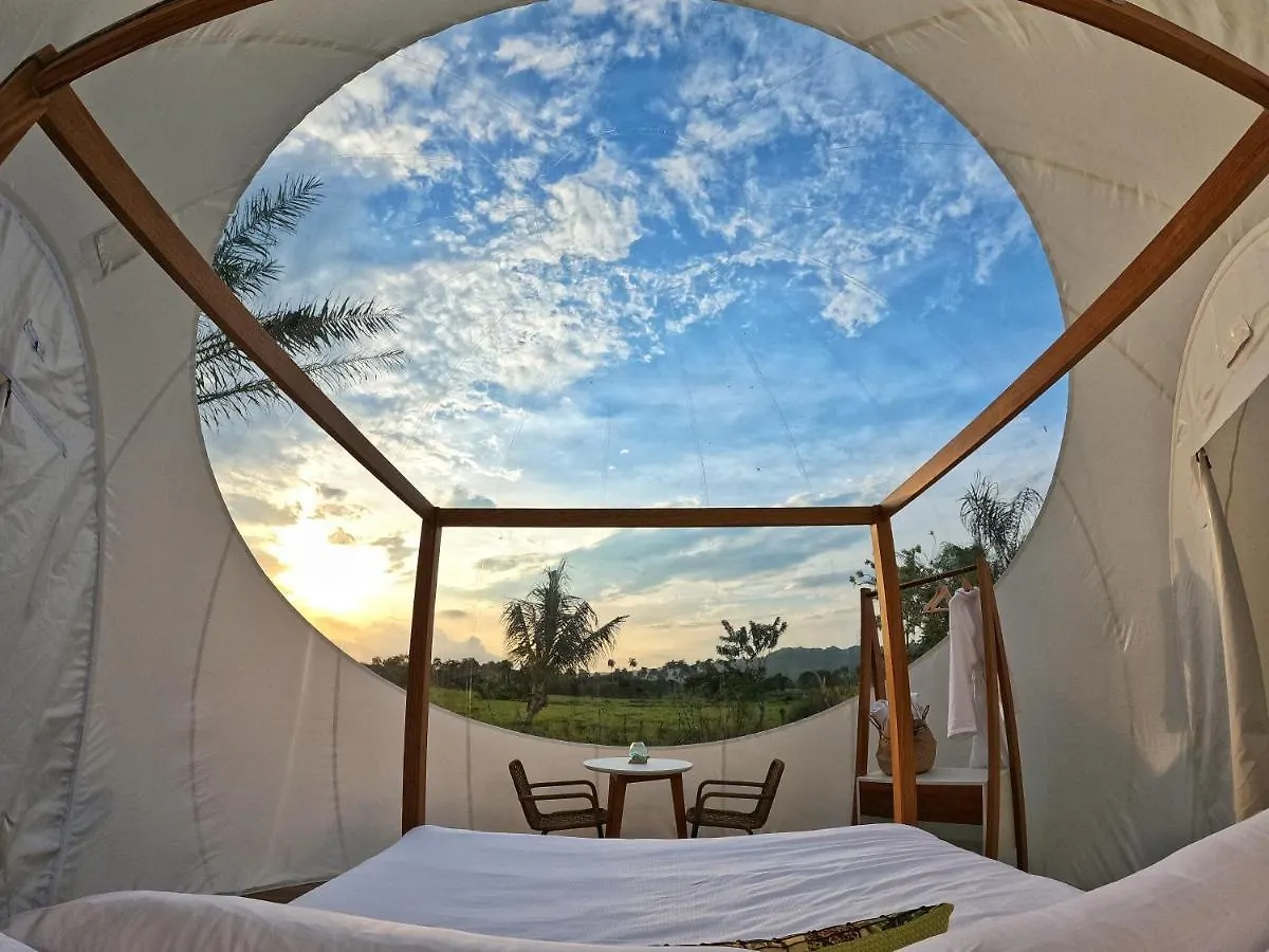 Luxury tent Green Land Bubble Glamping By Mint Cabarete Dominican Republic