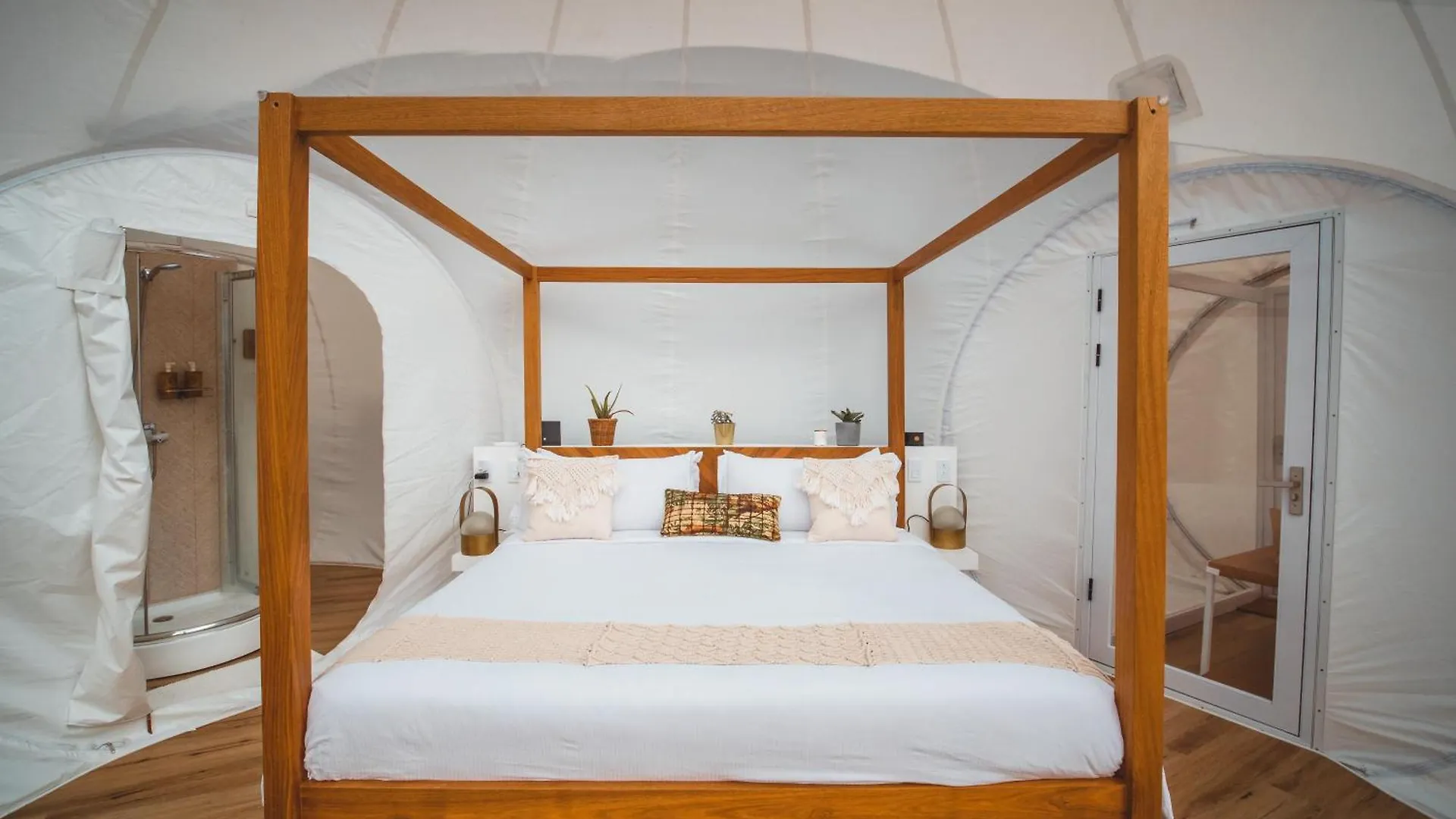Luxury tent Green Land Bubble Glamping By Mint Cabarete