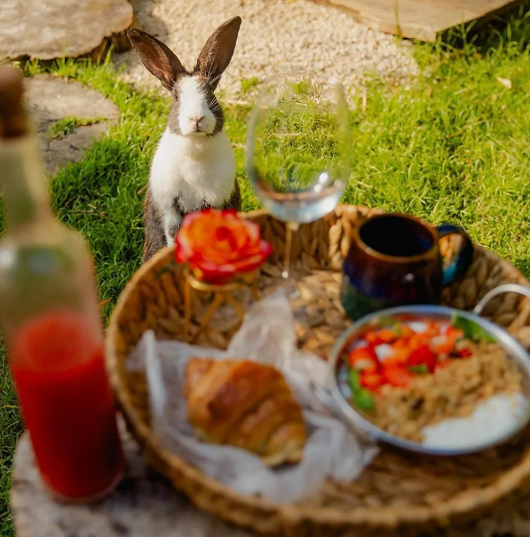 Green Land Bubble Glamping By Mint Cabarete Luxury tent