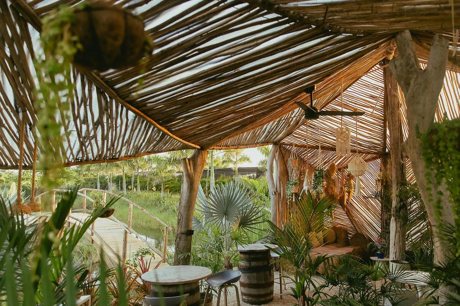 Green Land Bubble Glamping By Mint Cabarete