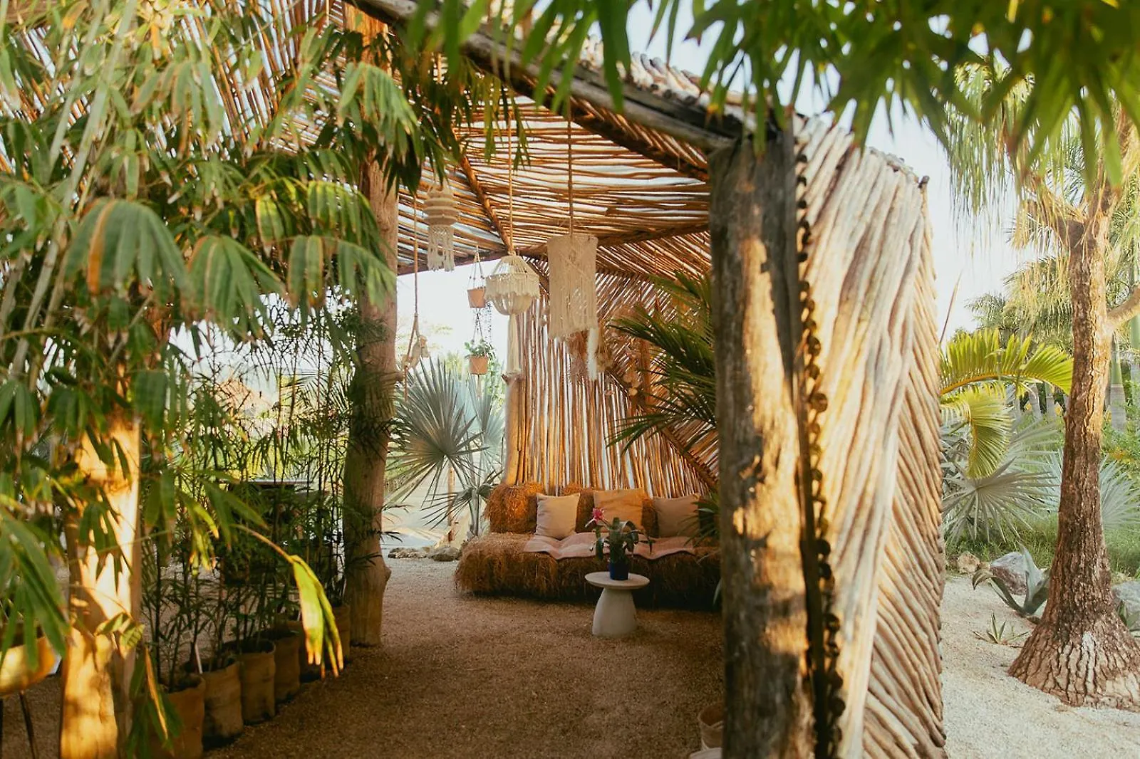 Green Land Bubble Glamping By Mint Cabarete Luxury tent